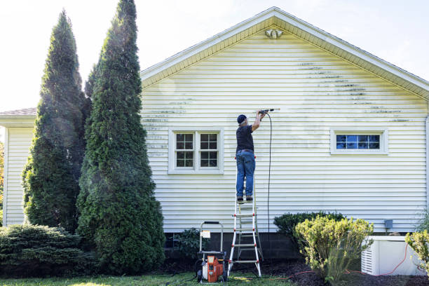 Best Commercial Building Pressure Washing  in Kelseyville, CA
