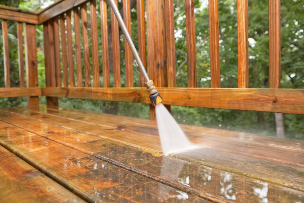 Best Roof Pressure Washing  in Kelseyville, CA