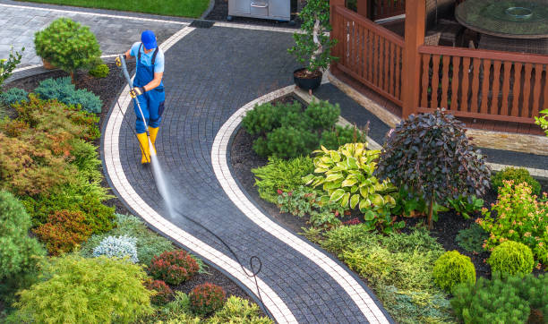 Best Concrete Pressure Washing  in Kelseyville, CA