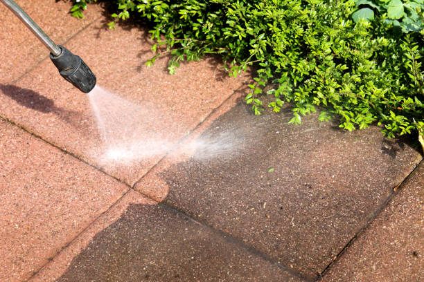 Best Residential Pressure Washing Services  in Kelseyville, CA